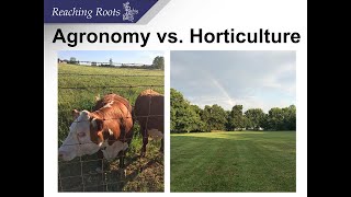 Whats the difference between Horticulture and Agronomy [upl. by Ahsinra]