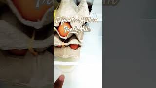 Defrosted Milk vs Fresh Milk detoxjourney detoxcleanse gardening drink eat2live [upl. by Cimah]