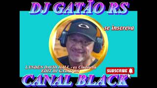 LYNDEN DAVID HALL  Sex Cinderella EDIT DJ GATÃO RS [upl. by Ahsiekahs]