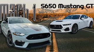 Top 5 Reasons Why I Bought a Mach 1 Mustang over an S650 Mustang GT [upl. by Enelaehs]