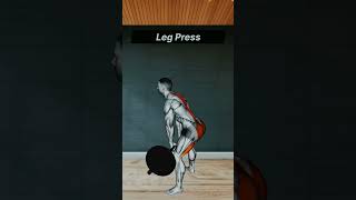 Leg workout youtubeshorts motivation phonkgymgymworkoutgym sports back gymroutineshortsfeed [upl. by Suiramaj]