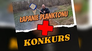 KONKURS  ŁAPANIE PLANKTONU akwarystyka akwarium diversa plankton konkurs [upl. by Fried387]