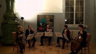 Krommer Quintet op94 Part1 [upl. by Lerud]