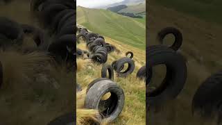 Rolling Tires Down the Hill for a 1 Lakh Prize [upl. by Cyndia]