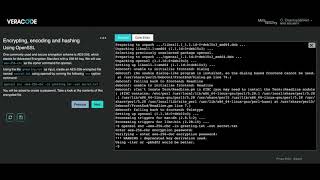 Veracode Security Labs demo [upl. by Doy]