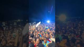 Medikal Performance at NPPs Hon Ursula Owusu 60th Birthday Concert [upl. by Rehtaef]