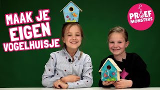 Maak je eigen Houten Vogelhuisje met de Proefmonsters [upl. by Soirtemed]