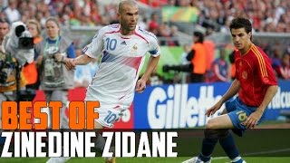 Best Of  El Maestro Zinedine Zidane [upl. by Chaworth332]