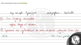 Write comprehensive note on the Pyrosoma [upl. by Adlev]