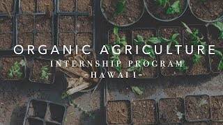 Organic Agriculture Internship  Big Island Farms [upl. by Nedloh]