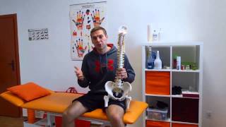 Herniated Disc  Degenerative Disc Disease selt treatment  Marek Purczyński [upl. by Ellenij]