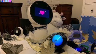 Jibo  Alexa  A Robot Love Story [upl. by Yolanthe]