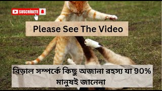 বিড়ালের কিছু অজানোর রহস্য Some unknown secrets of cats [upl. by Lever]