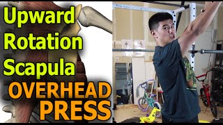 Scapula Upward Rotation amp The Overhead Press [upl. by Peder176]