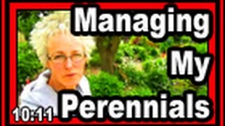 Managing My Perennials  Wisconsin Garden Video Blog 410 [upl. by Welsh742]