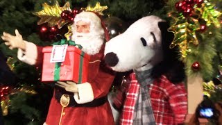 Opening Night Christmas Tree Lighting Ceremony at Knotts Merry Farm 2018 [upl. by Llertac]