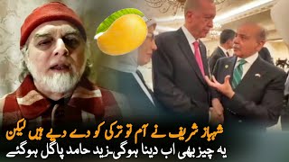 Zaid Hamid Suggestion To Shahbaz Sharif after Mango Gift Pakistan Turkey News  Pakilinks news [upl. by Chelsae]