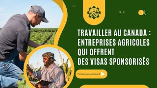 🌍 Travaillez au Canada  Entreprises Agricoles Qui Offrent des Visas Sponsorisés  🇨🇦 [upl. by Belac674]