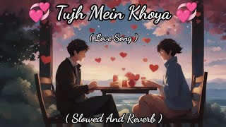 Tujh Mein Khoya  Hindi Song  Lofi Song  Slowed And Reverb [upl. by Kieran]