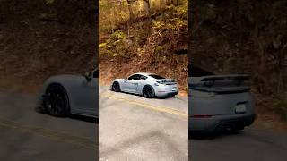 Porsche dragon rally flybys music 911 gt4 gt3 718 porsche race sport car drive fast fall [upl. by Ainadi]