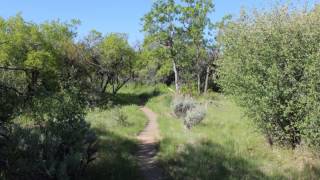 Black Canyon Uplands Trail [upl. by Afrika]