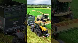 Krone BIG X Forage Harvester JCB Fastrac tractor carting grass silage [upl. by Brigham]