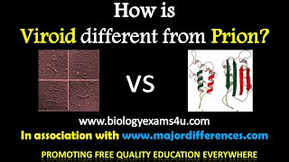 5 Differences between Viroids and Prions Viroids vs Prions in 5 minutes [upl. by Richie606]