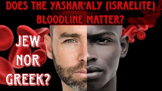 Does The Yasharaly Israelite Bloodline Matter Full Biblical Teaching [upl. by Napra]