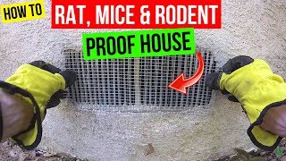 How To Protect your Home from Rats Mice amp Rodents Jonny DIY [upl. by Nueovas]