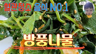 방풍나물 잘못 먹으면 배탈나요 제대로 된 레시피로 건강하세 드세요 a medicinal plant of the family Umbelliferae Siler divaricata [upl. by Albright215]