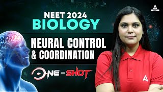 Neural Control and Coordination Class 11 One Shot  NEET 2024 Biology  Garima Goel [upl. by Eanahc]