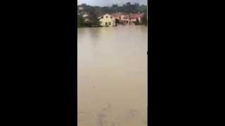 Alluvione Senigallia Borgo Bicchia sottacqua [upl. by Eirrol]