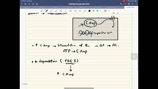 Milrinone Mechanism of action [upl. by Korff913]