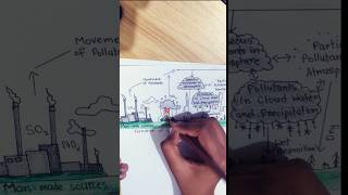 How to Draw a Diagram of Acid Rain  Acid Rain Poster Drawing acidrain science projectshortsdiy [upl. by Einnahpets]