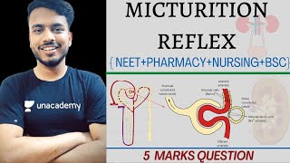 Micturition reflex  micturition reflex physiology  micturition reflex  micturition reflex hindi [upl. by Chilson]