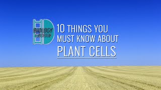 ALevel Biology  10 things you have to know about plant cells [upl. by Ardnac721]