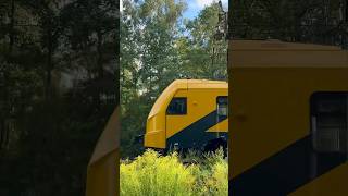 Wheel sound of Škoda 16Ev train 🇱🇻 [upl. by Halle877]