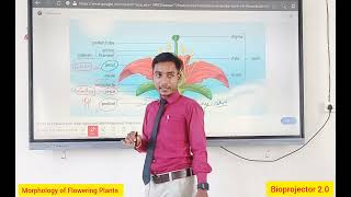 Morphology of Flowering Plants ☘️☘️ Calyx corolla Androecium Gyanoecium [upl. by Sremlahc605]