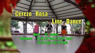 Cerezo Rosa 櫻桃玫瑰  Line Dance [upl. by Avlem]