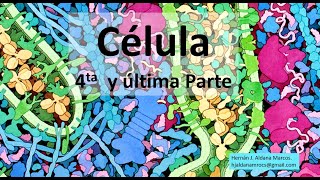 Célula 4 parte y última [upl. by Ilzel]