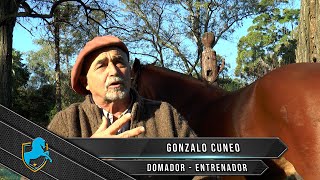 Caballos Argentinos TV  Gonzalo Cuneo  La reserva  Caballos Criollos [upl. by Clari]