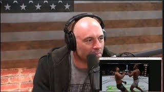 Joe Rogan Analyzes Francis Ngannous KO Power [upl. by Eilyr]