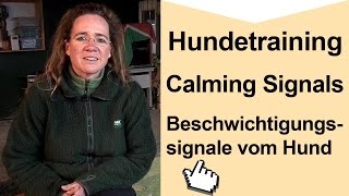 Calming signals  Beschwichtigungssignale vom Hund  Steffis Meinung dazu [upl. by Payton]