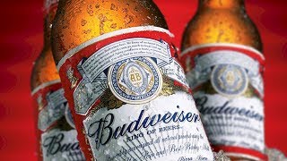 The Untold Truth Of Budweiser [upl. by O'Hara285]