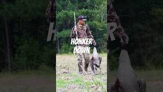 Honker Down goosehunt dovehunting goose aceadventures [upl. by Karyn]