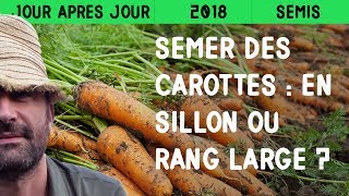 Semer des carottes  En sillon ou sur rang large [upl. by Tanaka]