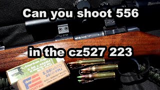 Can you shoot 556 in the CZ527 223 [upl. by Philender]