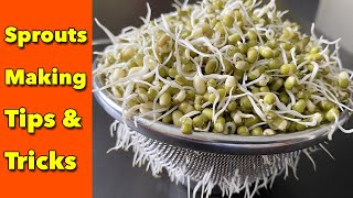 మొలకలు చెయ్యడం చాలా సింపుల్  Making Sprouts  Mung Bean Sprouts  Healthy Recipes [upl. by Elspeth]