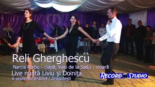 Reli Gherghescu  Hai mandro pitisi pitisi Colaj HORA LIVE Nunta Liviu si Doinita [upl. by Ttirb431]