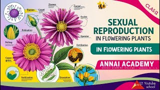 Unlocking Nature Sexual Reproduction in Flowering Plants Explained [upl. by Butterworth]